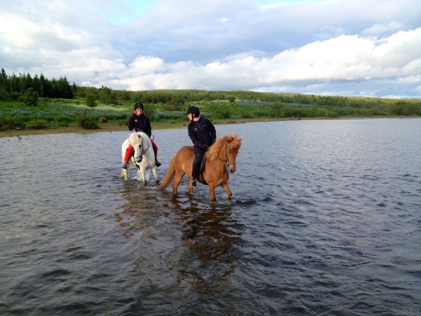 Reykjavik: Evening Sleipnir Horse Riding Tour with Pickup - Tea, coffee, hot chocolate, and kleina afterward