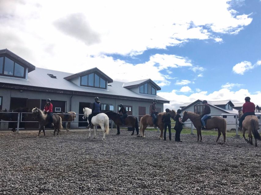 Reykjavik: Evening Sleipnir Horse Riding Tour with Pickup - Should you book the Reykjavík evening horse ride?