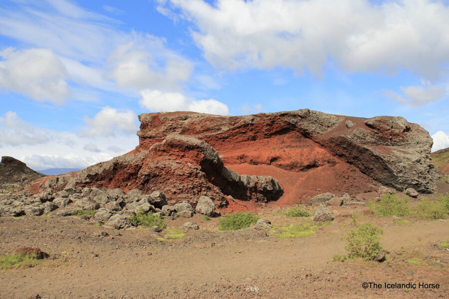 Reykjavík: Horse Riding Tours - Key points to know before you book