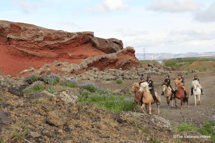 Reykjavík: Horse Riding Tours - Reaching the stables just outside Reykjavík