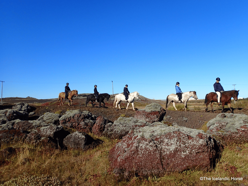 Reykjavík: Horse Riding Tours - Meeting the Icelandic horses
