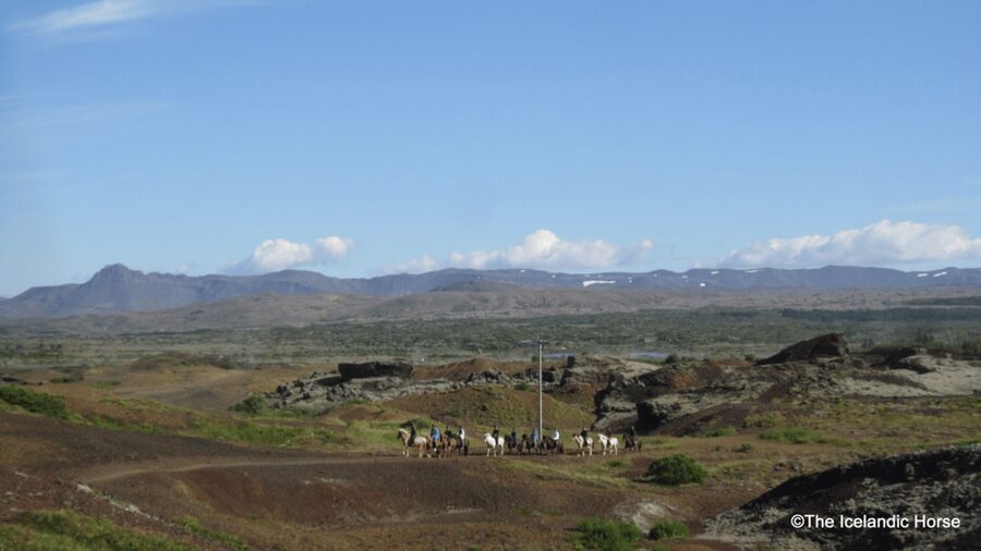 Reykjavík: Horse Riding Tours - One to one and a half hours across volcanic terrain