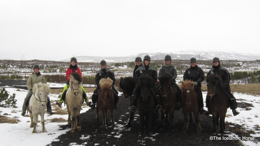 Reykjavík: Horse Riding Tours - Is $200 a fair price?
