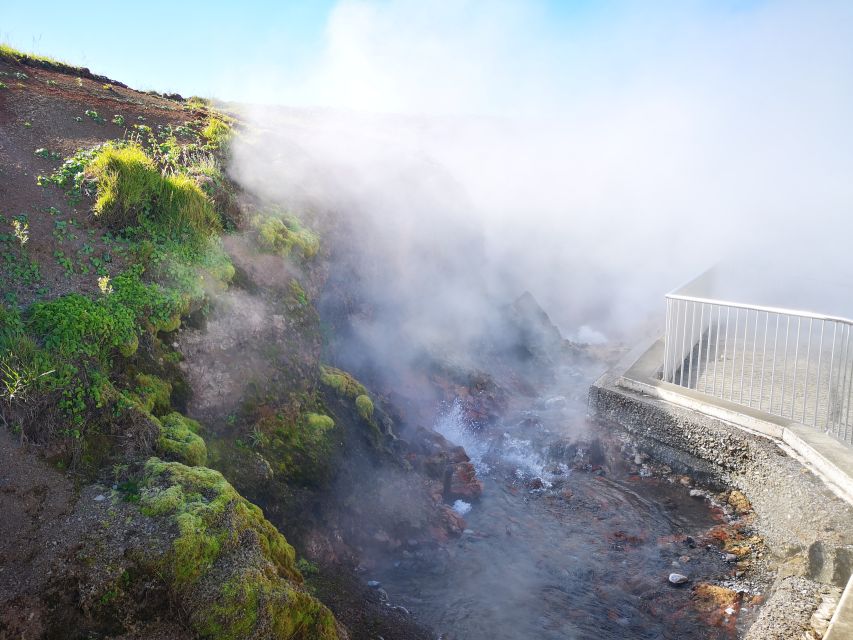 Reykjavik: Lava Cave, Hot Springs, Horses & Waterfalls Tour - Guides make a real difference
