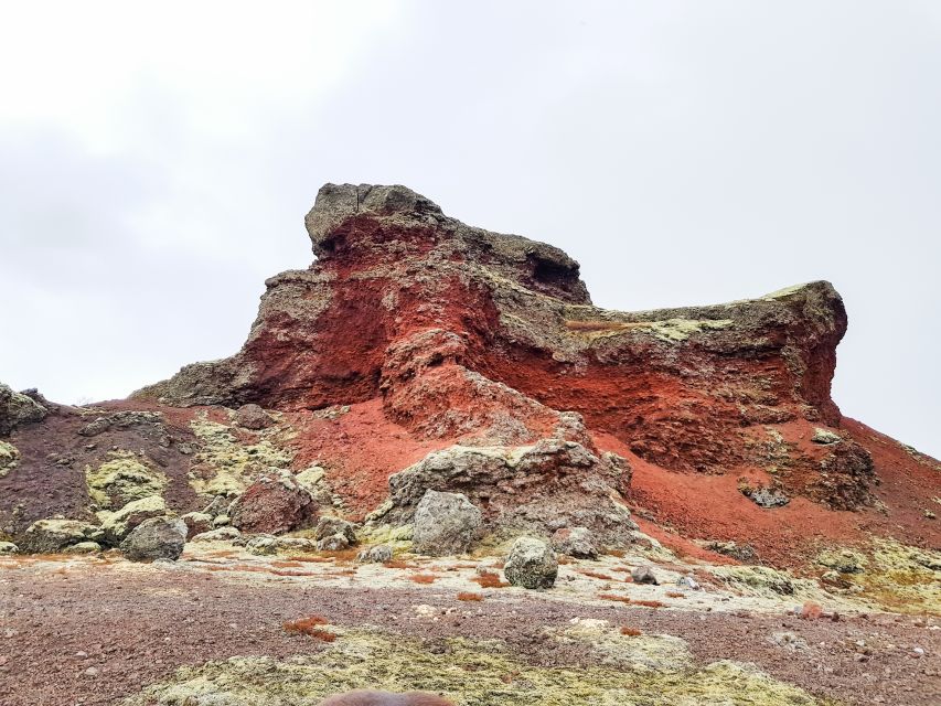 Reykjavik: Red Lava Horse Riding Tour - Getting ready: helmets, clothing, and the first horse introduction