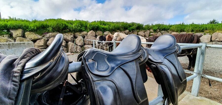 Reykjavik: Red Lava Horse Riding Tour - The Rauðarvatn option for more confident riders