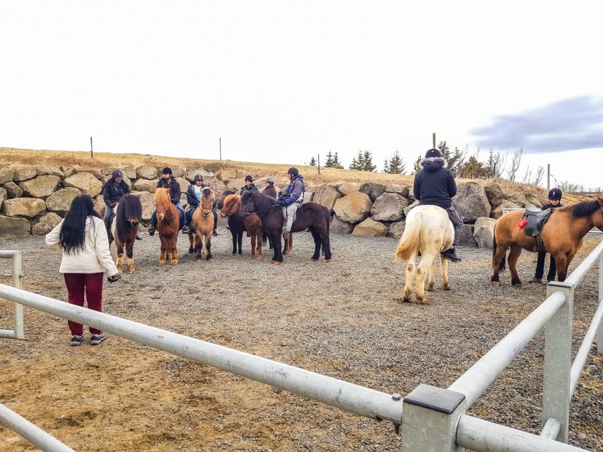 Reykjavik: Red Lava Horse Riding Tour - Weather, safety, and comfort in real Icelandic conditions