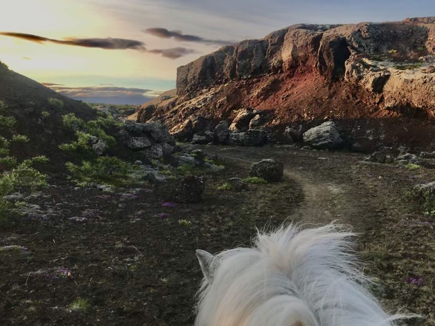 Reykjavik: Small-Group Horse Volcano Riding Tour with Pickup - Riding through Hólsmheiði forest