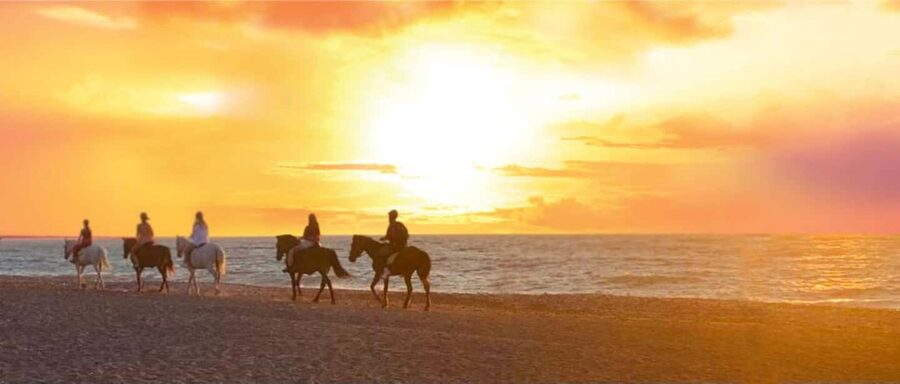 Rhodes Island: Horseback Riding at the Beach During Sunset - At a glance: the details that matter