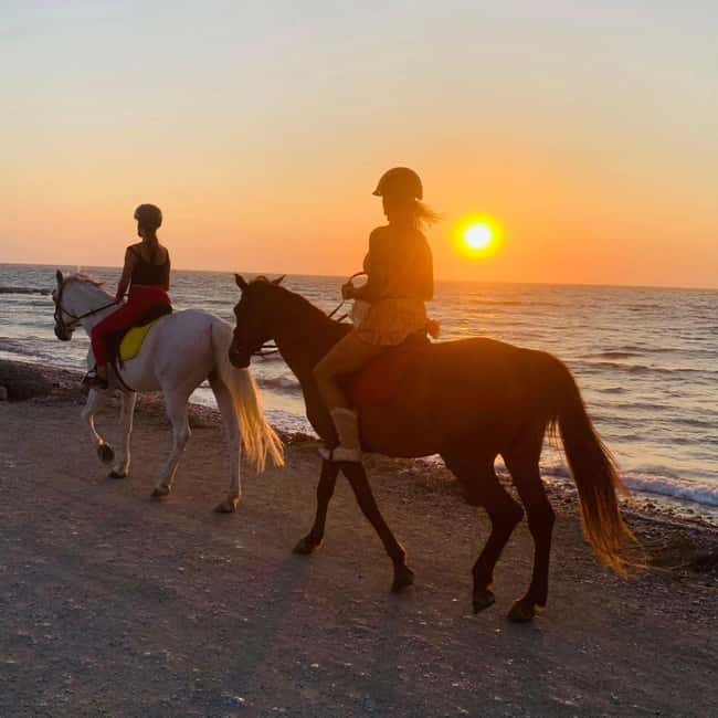 Rhodes Island: Horseback Riding at the Beach During Sunset - Getting ready with calm horses and clear instructions