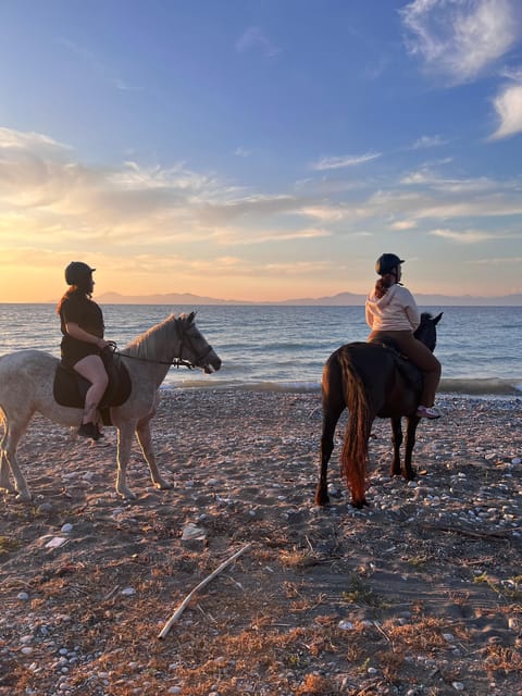 Rhodes: Seaside Horseback Riding Experience - Key points before you book