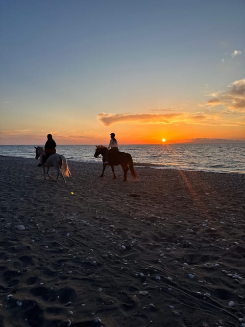 Rhodes: Seaside Horseback Riding Experience - Starting at NiVa Horse Ranch