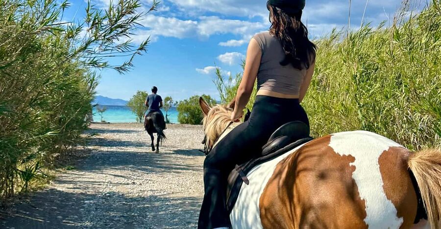 Rhodes: Seaside Horseback Riding Experience - Arriving beside the east-coast sea
