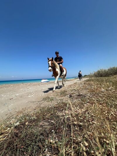 Rhodes: Seaside Horseback Riding Experience