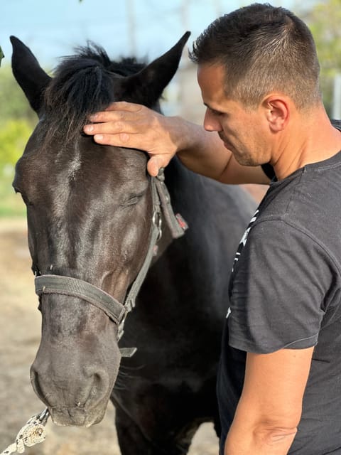 Rhodes: Seaside Horseback Riding Experience - Why the slow pace is both a strength and a limitation