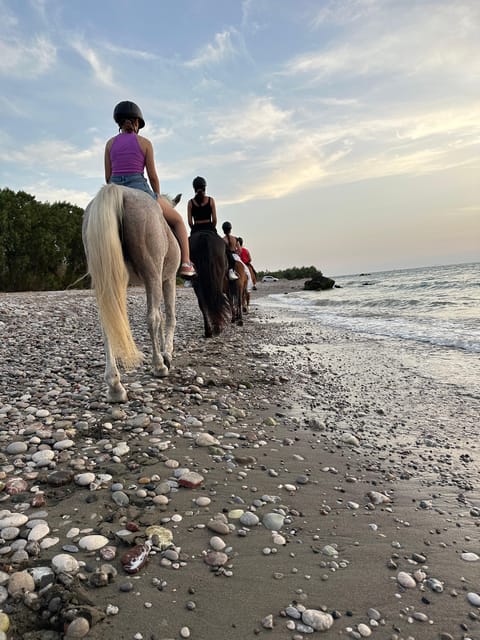 Rhodes: Seaside Horseback Riding Experience - Sunset, morning, or another available start time