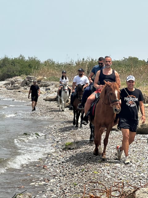 Rhodes: Seaside Horseback Riding Experience - Is $94 good value?