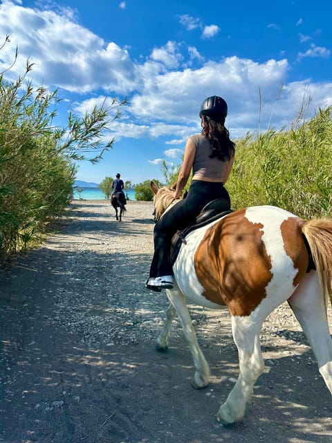 Rhodes: Seaside Horseback Riding Experience - Who should book this ride?
