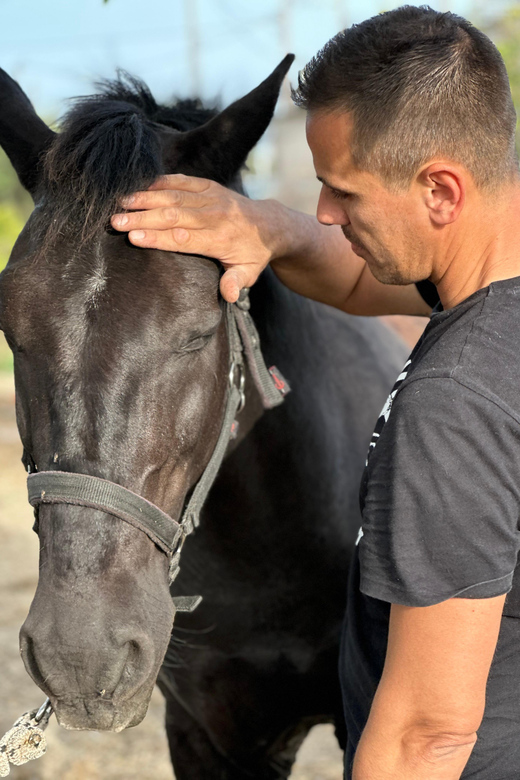 Rhodes: Seaside Horseback Riding Experience - Practical tips for a smoother ride