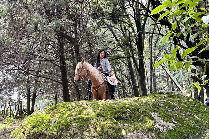 Ride Horses, Learn to Cook with Locals in Mexico City - A personal touch from Luis and Aurelio