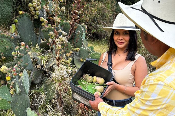 Ride Horses, Learn to Cook with Locals in Mexico City - How the day’s value measures up