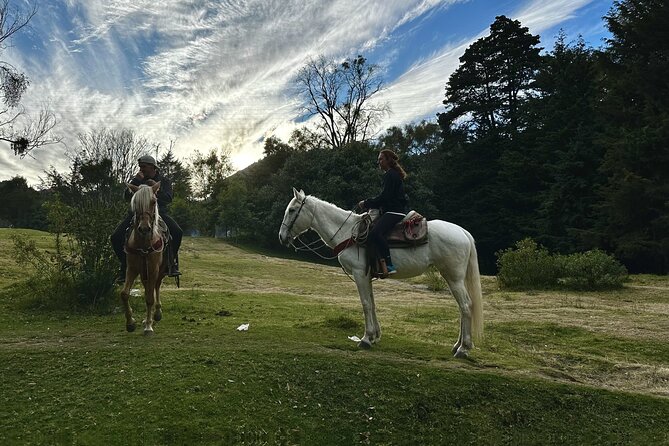 Ride Horses, Learn to Cook with Locals in Mexico City - Who will enjoy this most