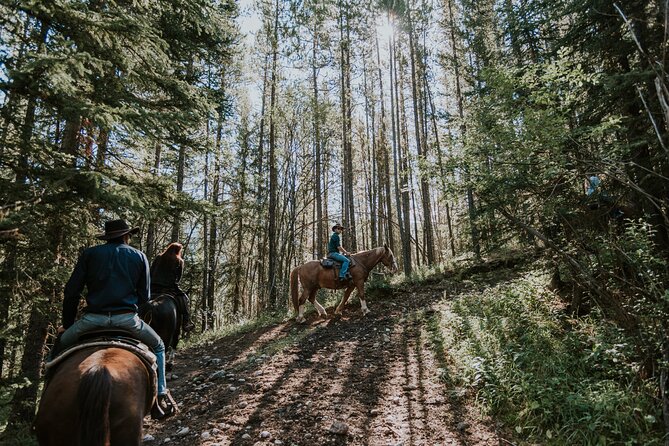 Ridge Ride 2-Hour Horseback Trail Ride in Kananaskis - What the two-hour Ridge Ride is really like