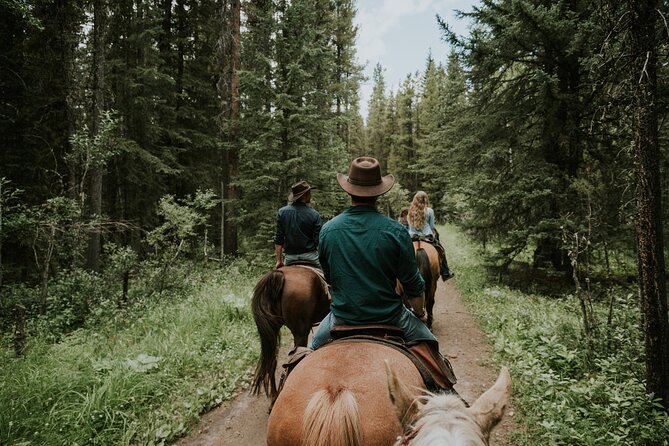 Ridge Ride 2-Hour Horseback Trail Ride in Kananaskis - Forest, wetland, and possible wildlife
