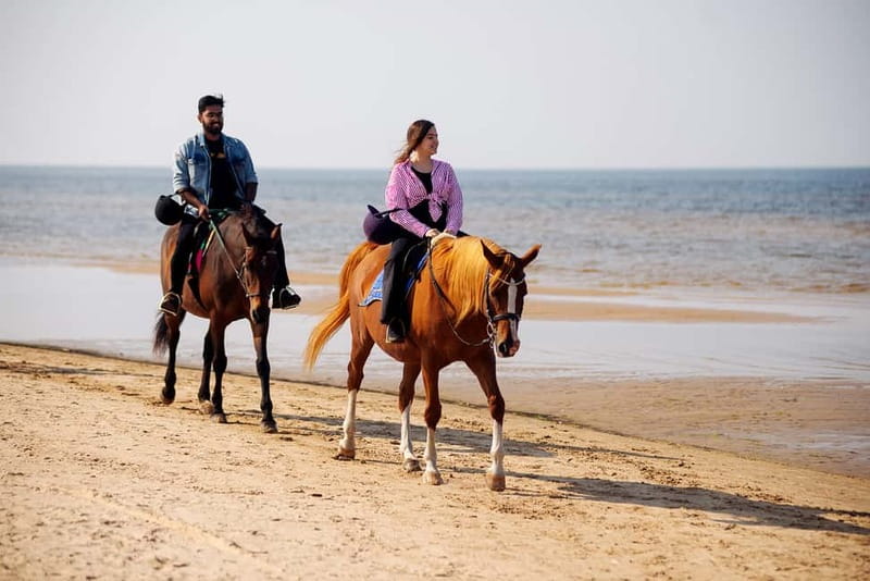 Riga Horse Riding tour along the Beach - Key Things to Know Before You Book