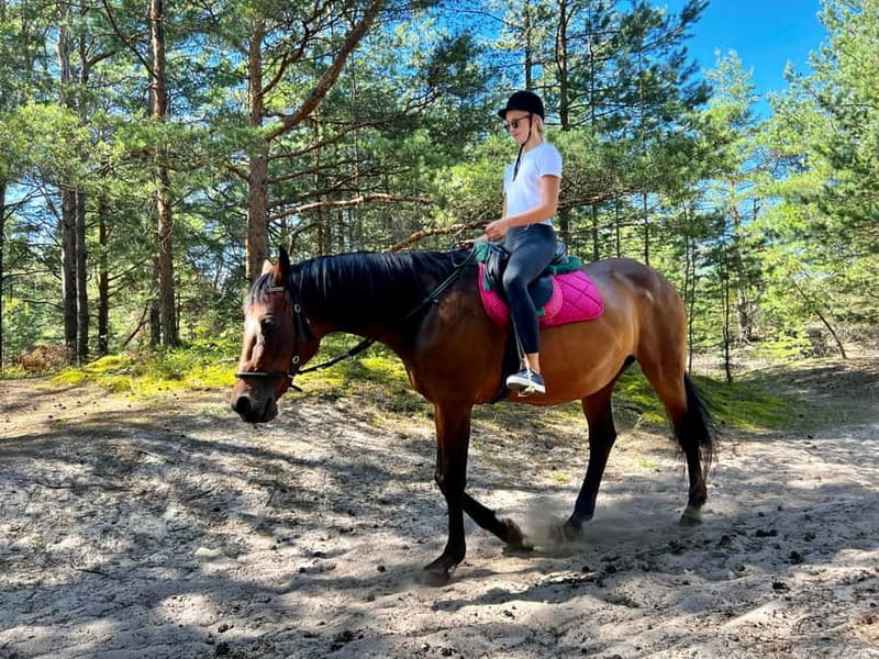 Riga Horse Riding tour along the Beach - Reaching the Baltic Beach on Horseback