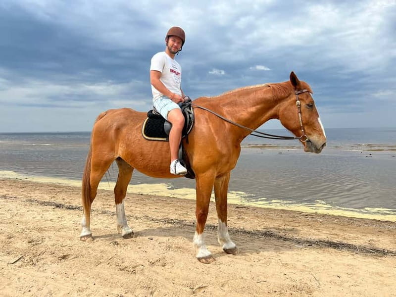 Riga Horse Riding tour along the Beach - Meeting Calm Horses and Learning the Basics