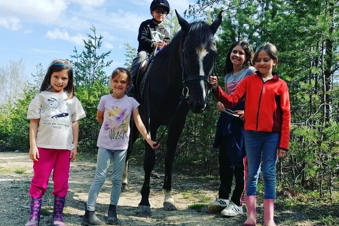 Rila National Park Horse Riding Adventure - Pine forest, meadows, and river crossings