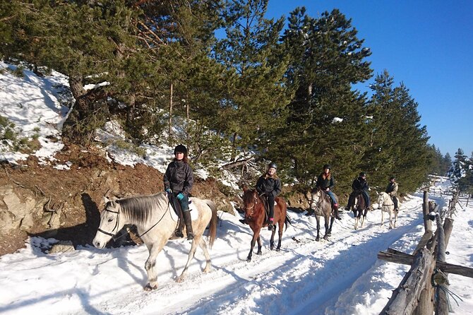 Rila National Park Horse Riding Adventure - A gentler pace for beginners