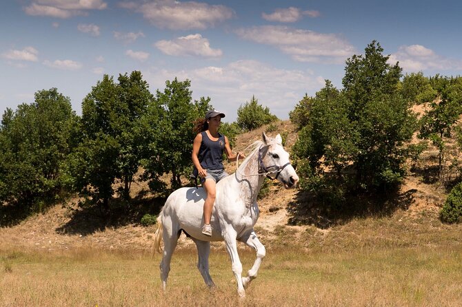 Rila National Park Horse Riding Adventure - Why the guide makes a difference