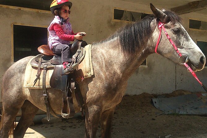 Rila National Park Horse Riding Adventure - A small group, but not a private ride