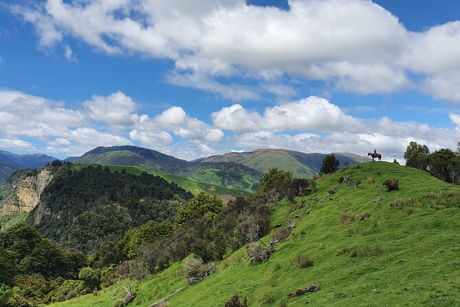 River Valley Stables - Burn The Breeze, Half Day Horse Ride For Riders - What Makes This Ride Different