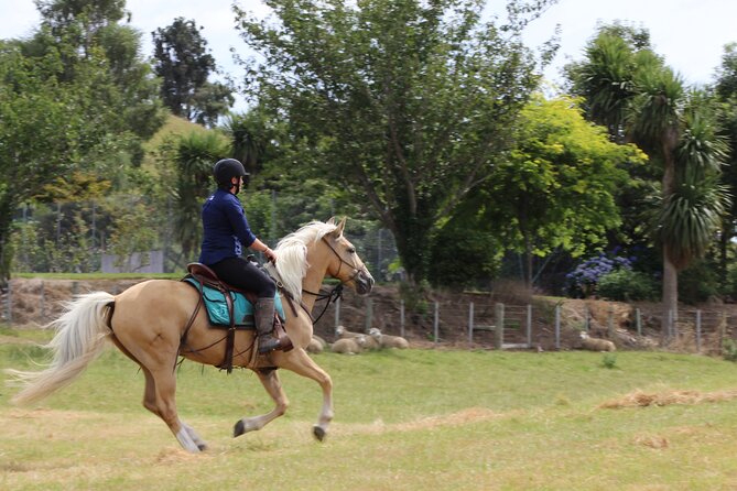 River Valley Stables - Burn The Breeze, Half Day Horse Ride For Riders - Gear for Changeable New Zealand Weather