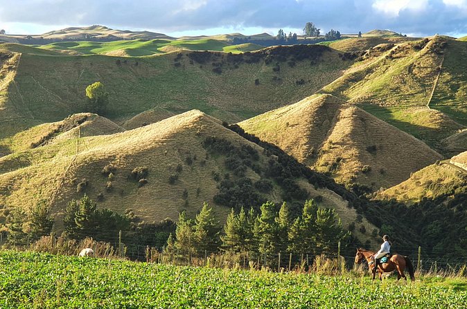 River Valley Stables - Burn The Breeze, Half Day Horse Ride For Riders - What the Ride Feels Like for Different Riders
