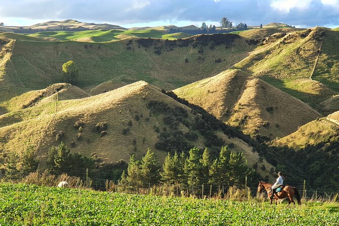 River Valley Stables - Burn The Breeze, Half Day Horse Ride For Riders - Practical Details Before You Book