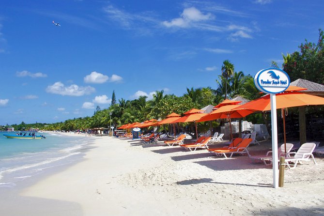 Roatan Excursion: Horseback Ride / Plus Sloth Park and Beach Break - Meeting your driver near Mahogany Bay