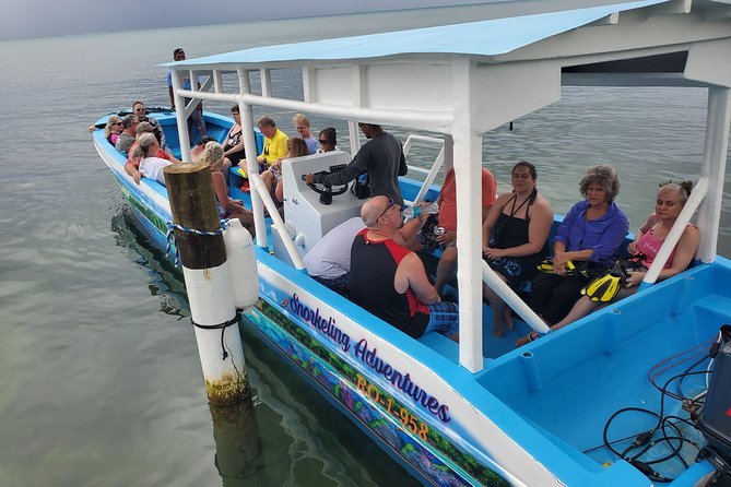 Roatan Excursion: Horseback Ride / Sloths park / Snorkel With Beach Break - What This Roatan Combo Tour Really Offers