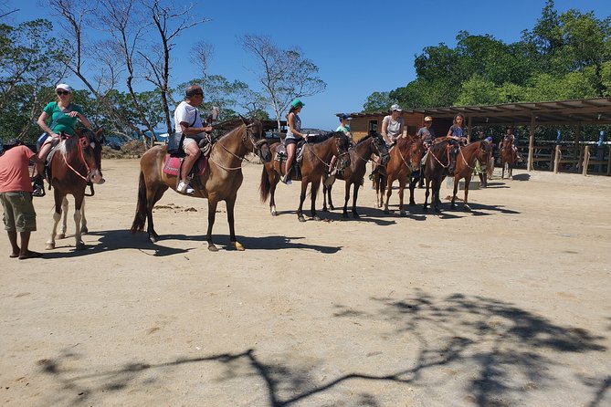 Roatan Excursion: Horseback Ride / Sloths park / Snorkel With Beach Break - Meeting Your Driver and Crossing Roatan
