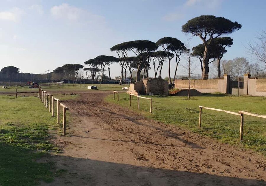 Rome: Horseback Riding Experience in Castel Fusano - Key points to know before booking