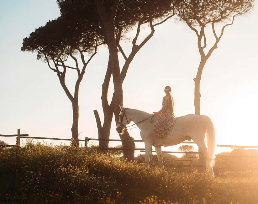 Rome: Horseback Riding Experience in Castel Fusano - Why Castel Fusano makes a good riding setting