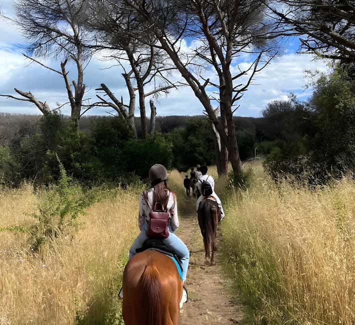 Rome: Horseback Riding Experience in Castel Fusano - Riding the pine forest trails for one hour