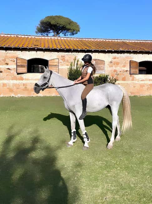 Rome: Horseback Riding Experience in Castel Fusano - Is $42 a fair price?