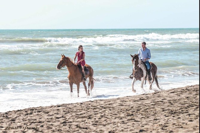 Rome: Horseback Riding on the Beach with aperitif - Grooming and Preparing Your Horse