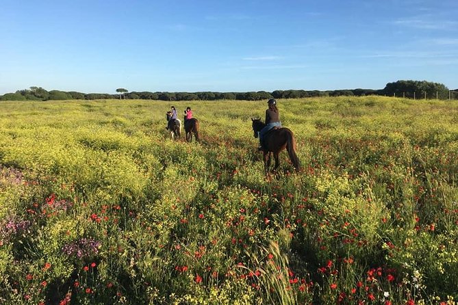 Rome: Horseback Riding on the Beach with aperitif - Wine, Snacks, and the Italian Aperitif