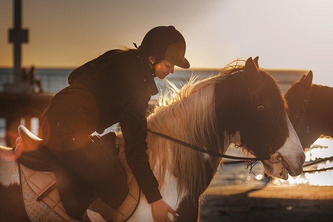 Rome: Horseback Riding on the Beach with aperitif - What the Private Booking Really Means