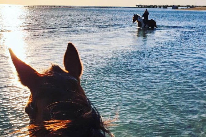 Rome: Horseback Riding on the Beach with aperitif - Is $299.57 a Fair Price?